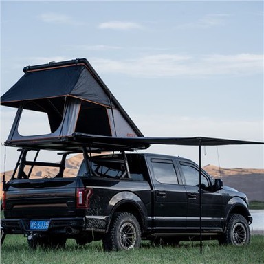 Намет з черепашки молюска на даху